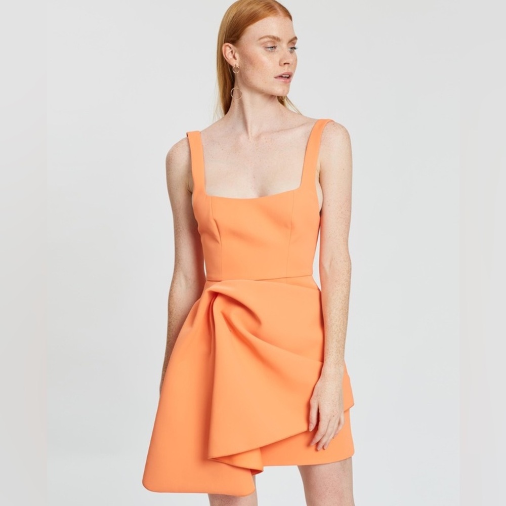 Acler Clarke Mini Dress